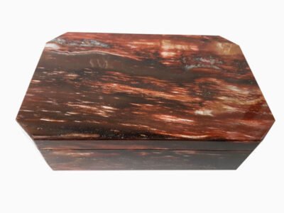 petrified-wood-jewelry-jewellery-box-semi-