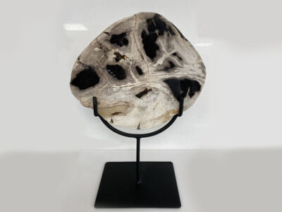 petrified-wood-semi-precious-stone-on-stand-ornament