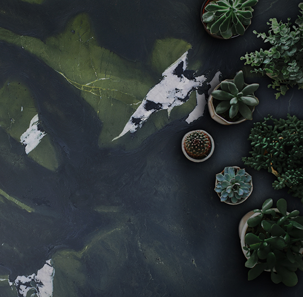 How we can improve our living spaces with biophilic design