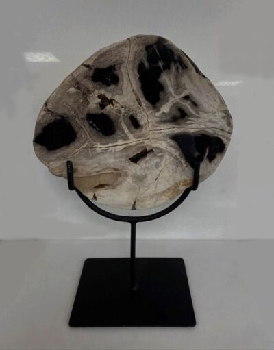 petrified-wood-semi-precious-stone-on-stand