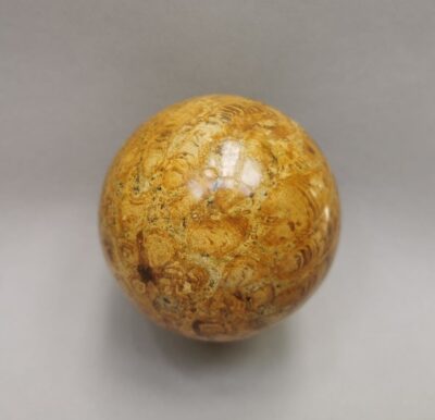 coral fossil ball